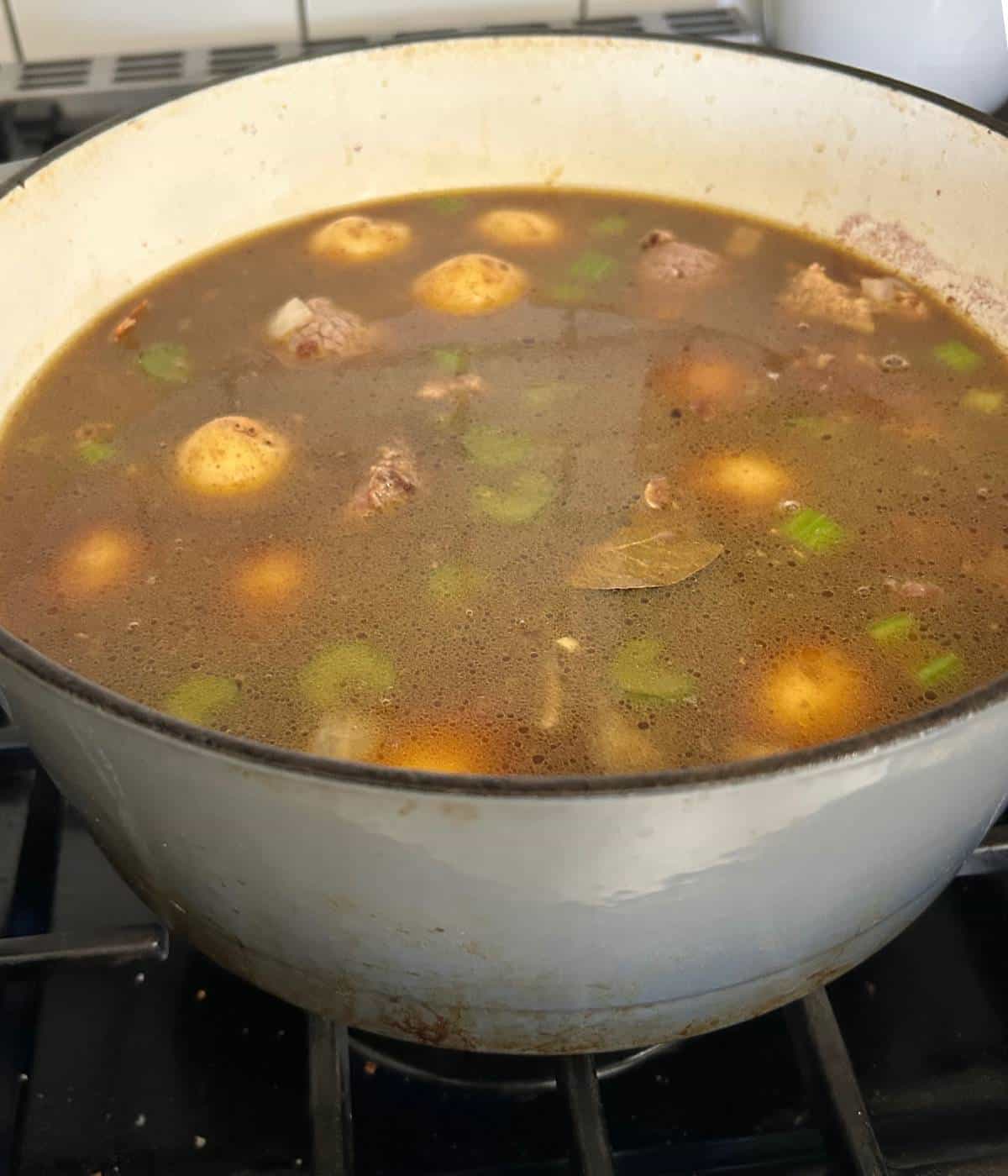 Beef stew in dutch oven.