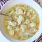 large white speckled bowl full of chicken and dumplings