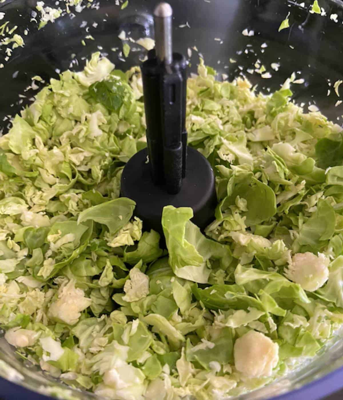 Shaved brussel sprouts in food processor.