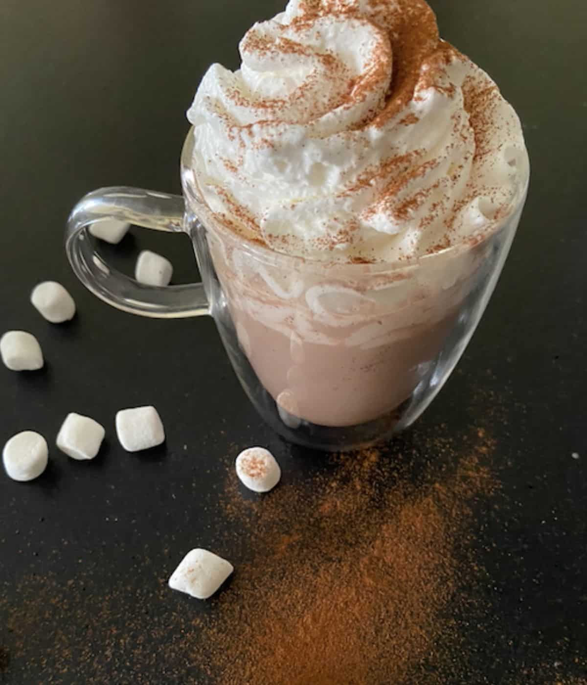 glass mug full of hot chocolate topped with marshmallows and whipped cream