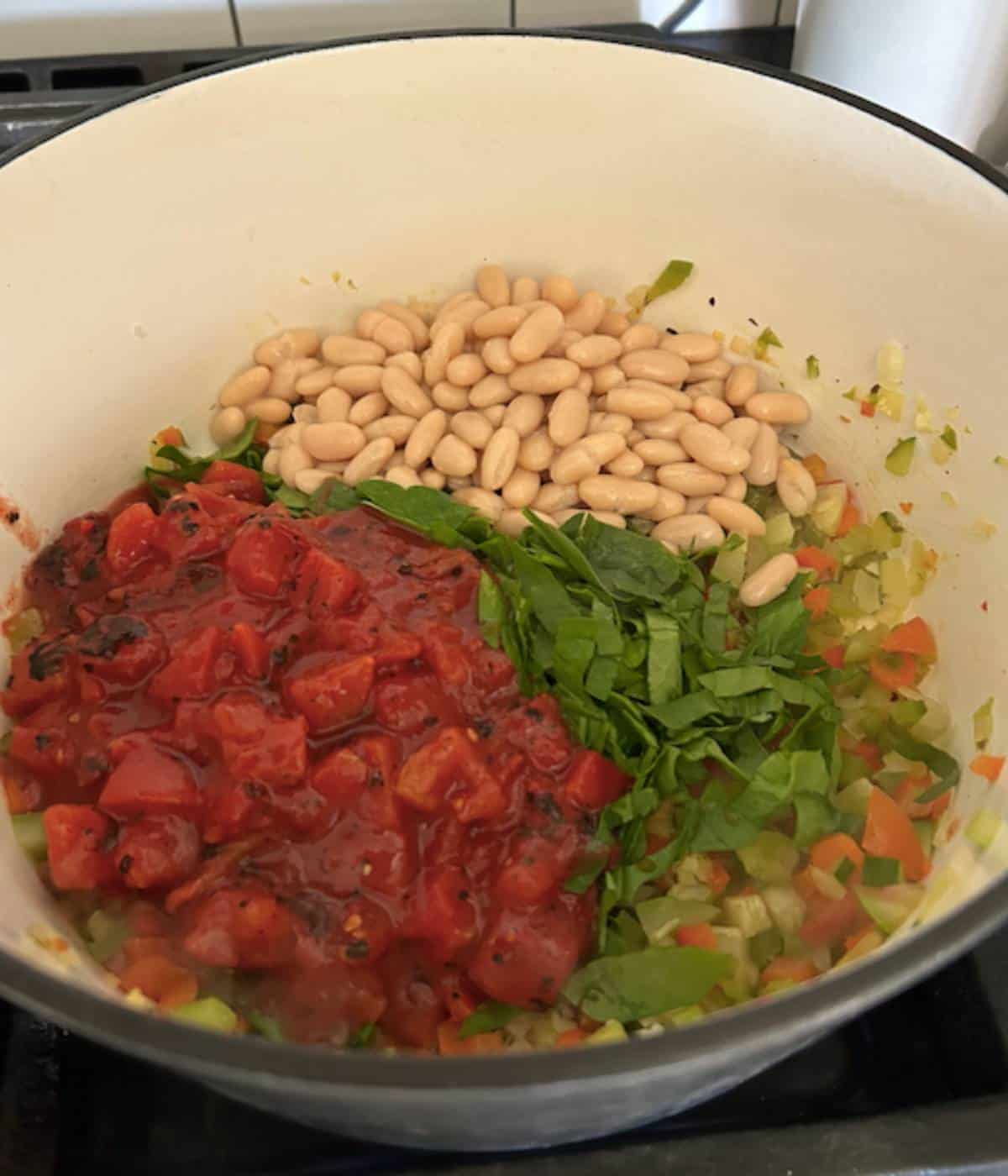 Tomatoes and beans with vegetables in pot.