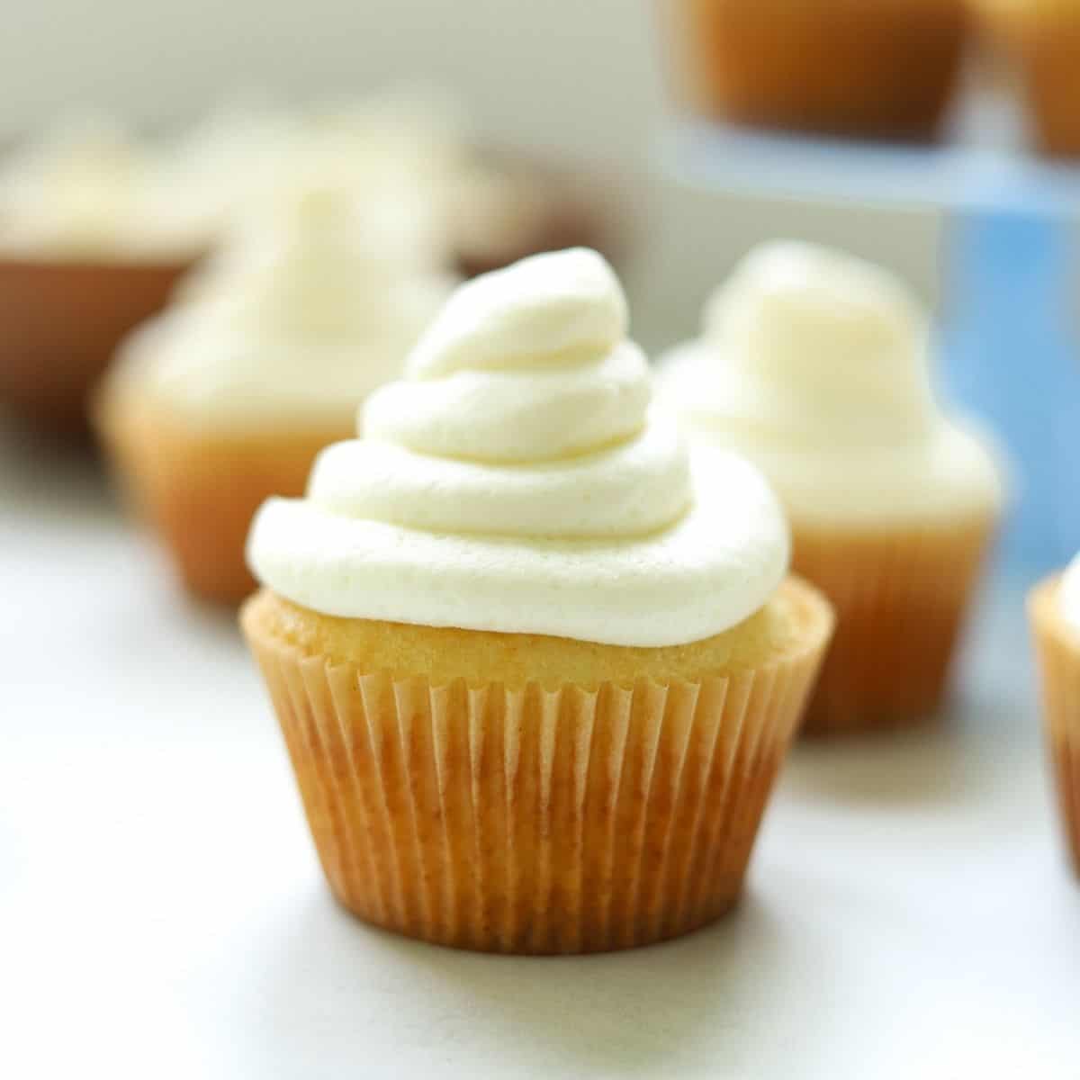 vanilla cupcake with whipped buttercream frosting swirl