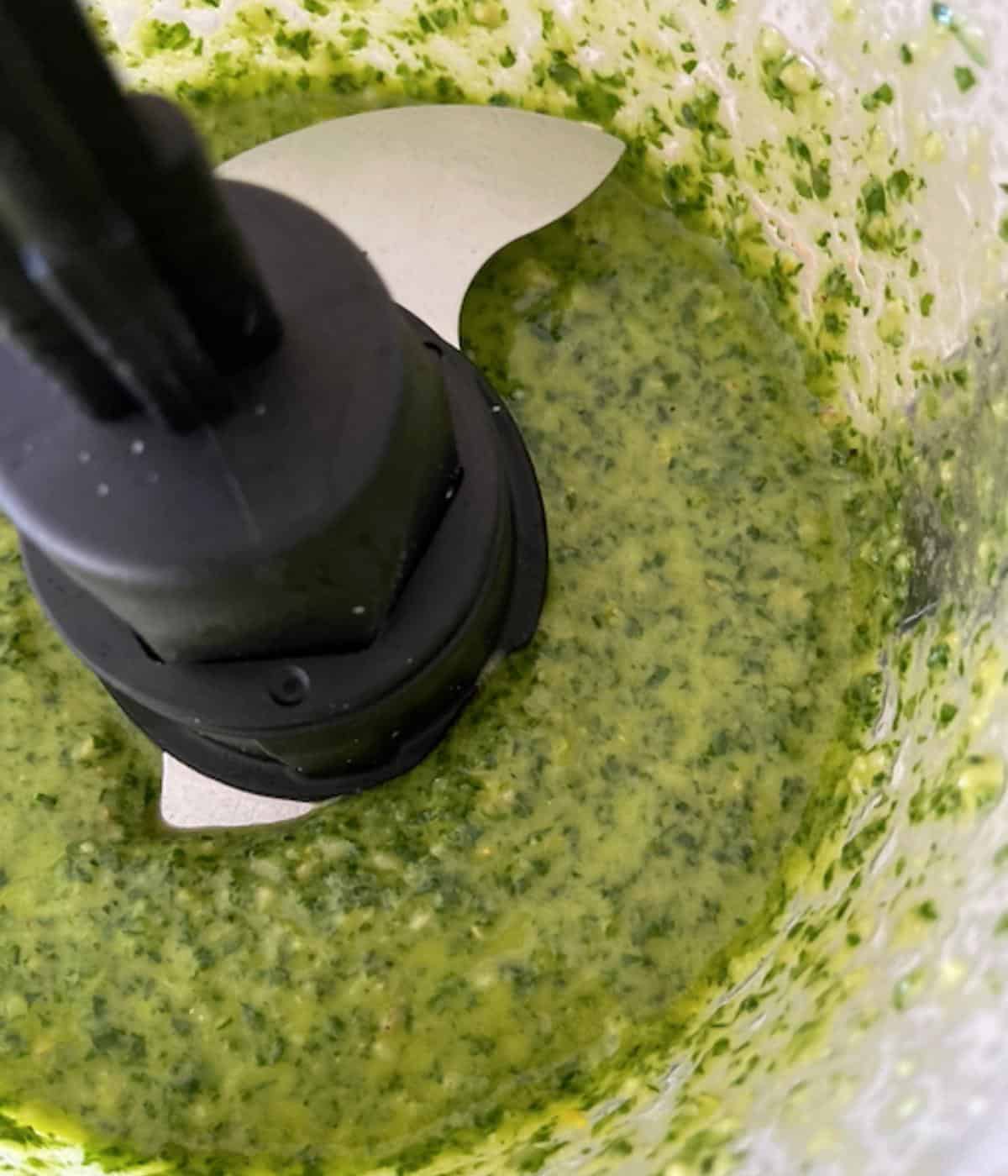 vegetarian pesto in food processor after combined to show texture