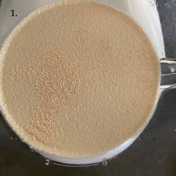 yeast water and sugar in bowl