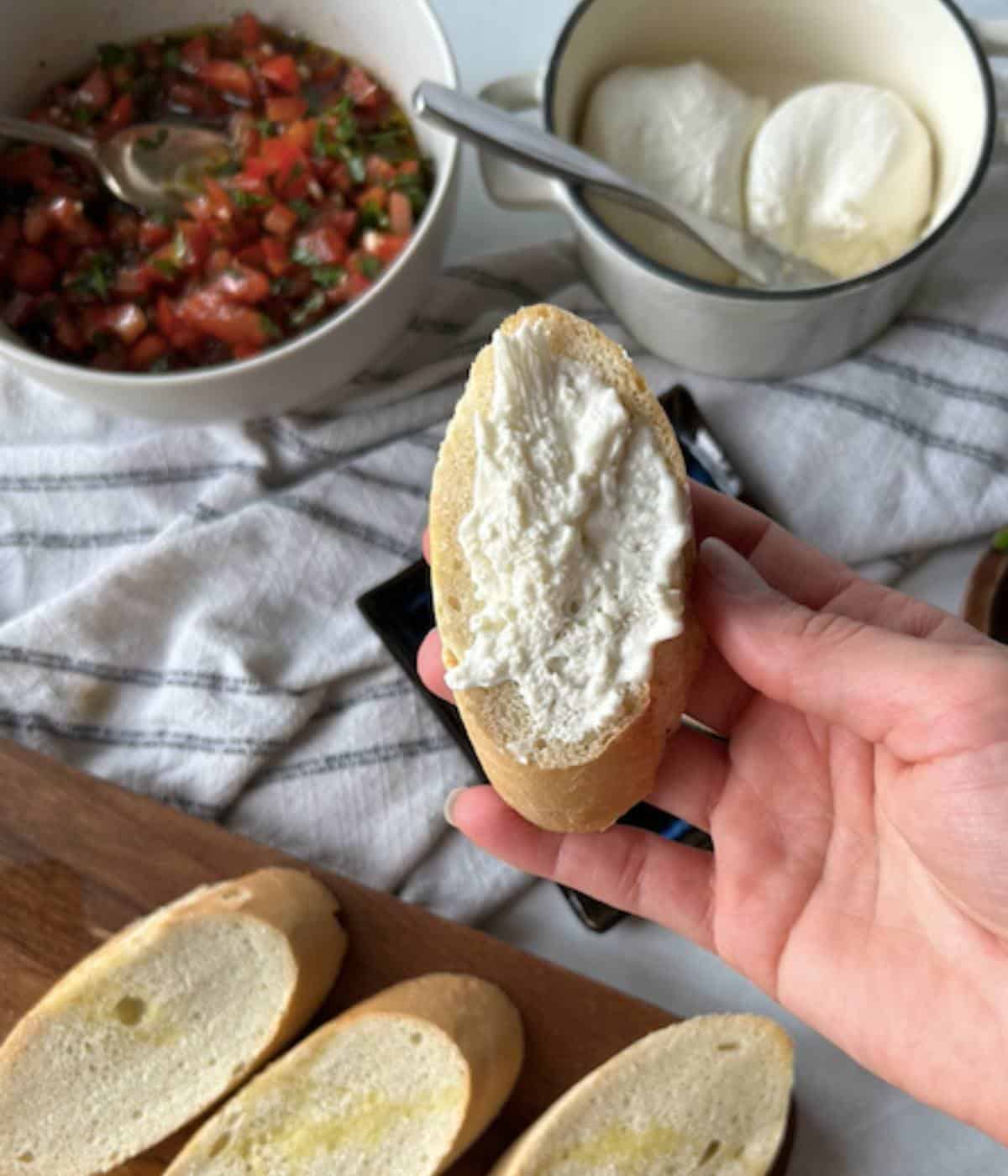 Hand holding piece of toasted french bread with creamy burrata spread onto it.
