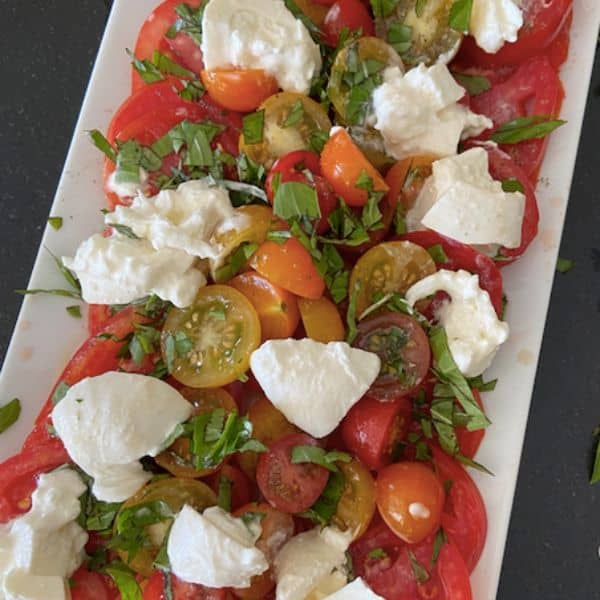 burrata cheese on tomatoes with basil