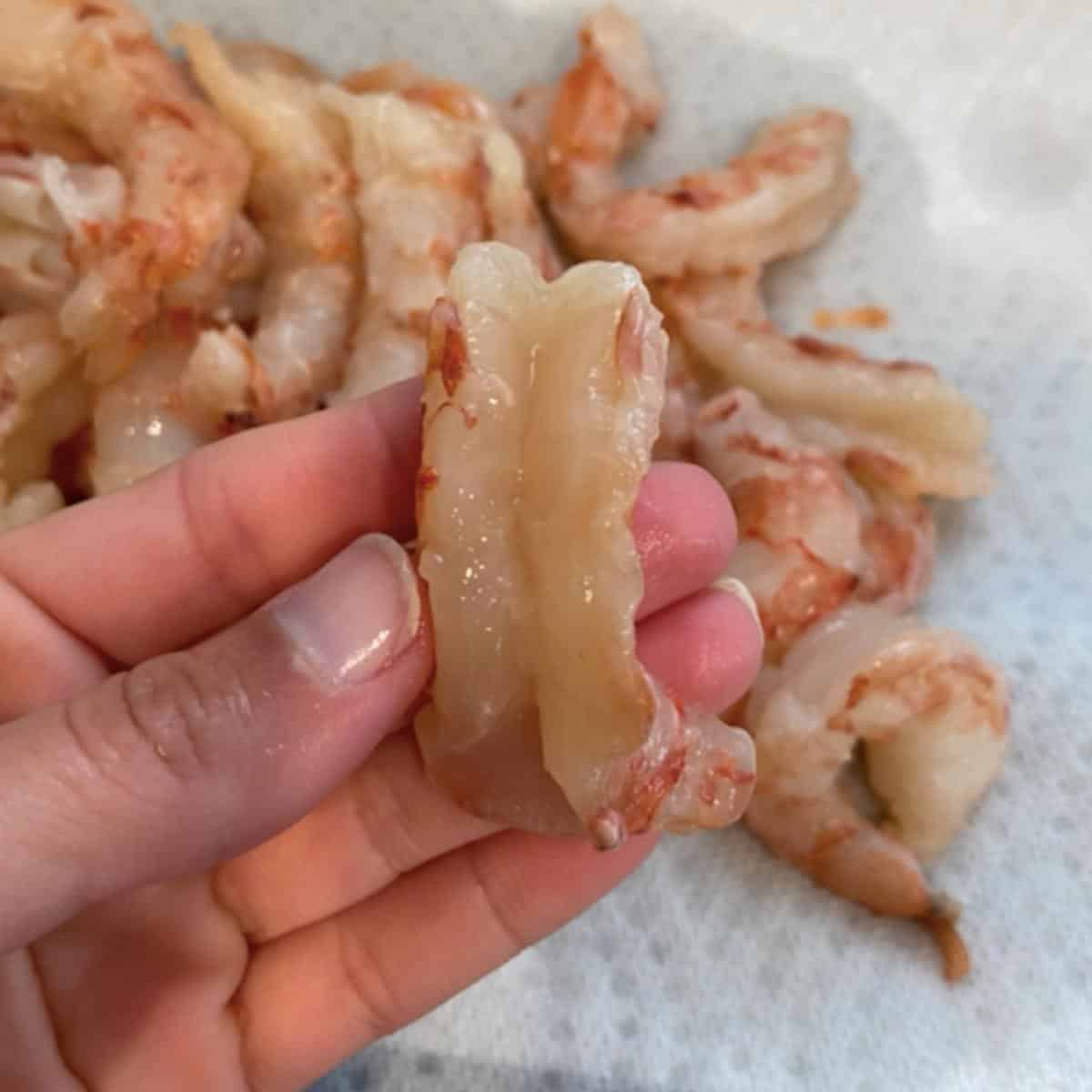 hand holding peeled and deveined shrimp