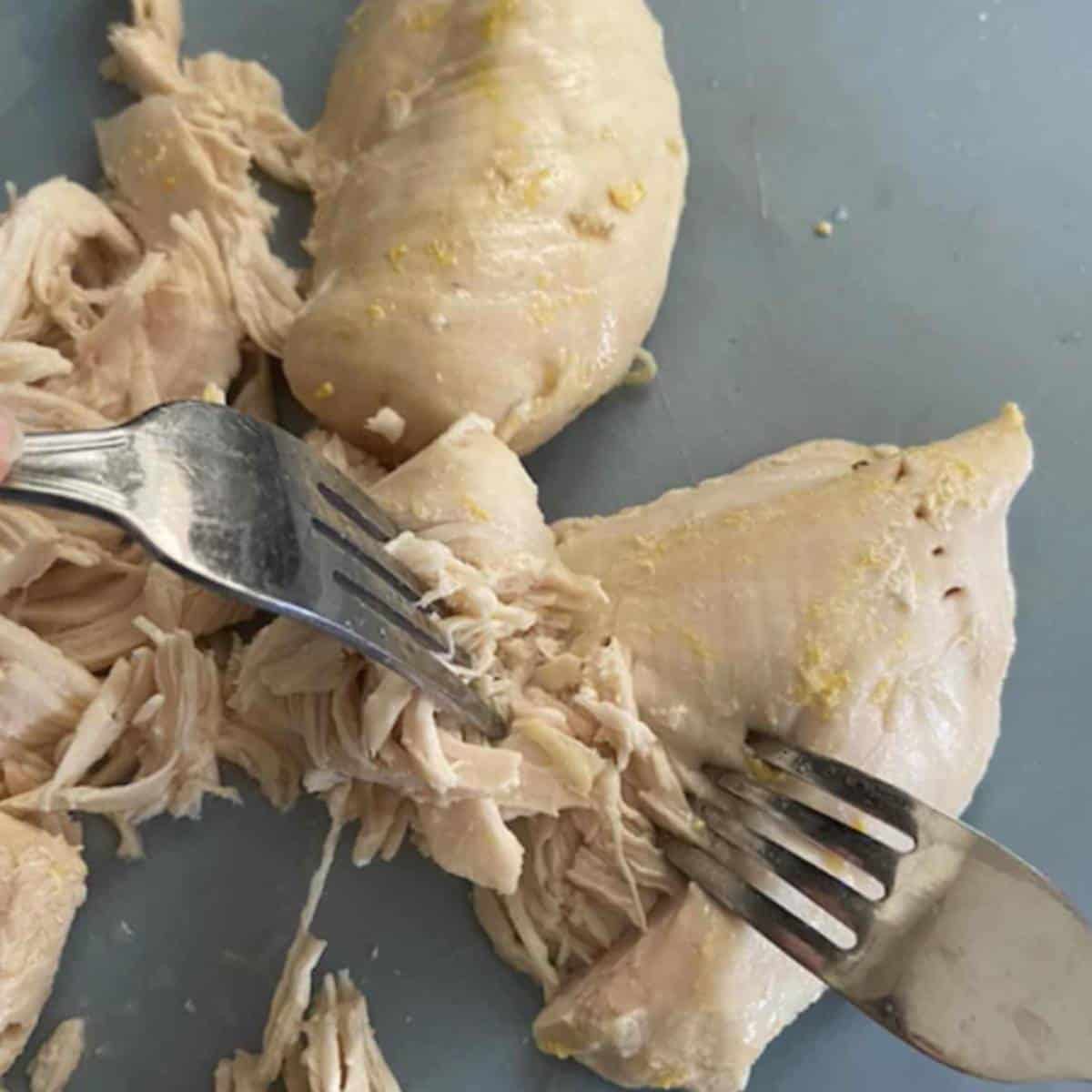 Two forks shredding chicken.