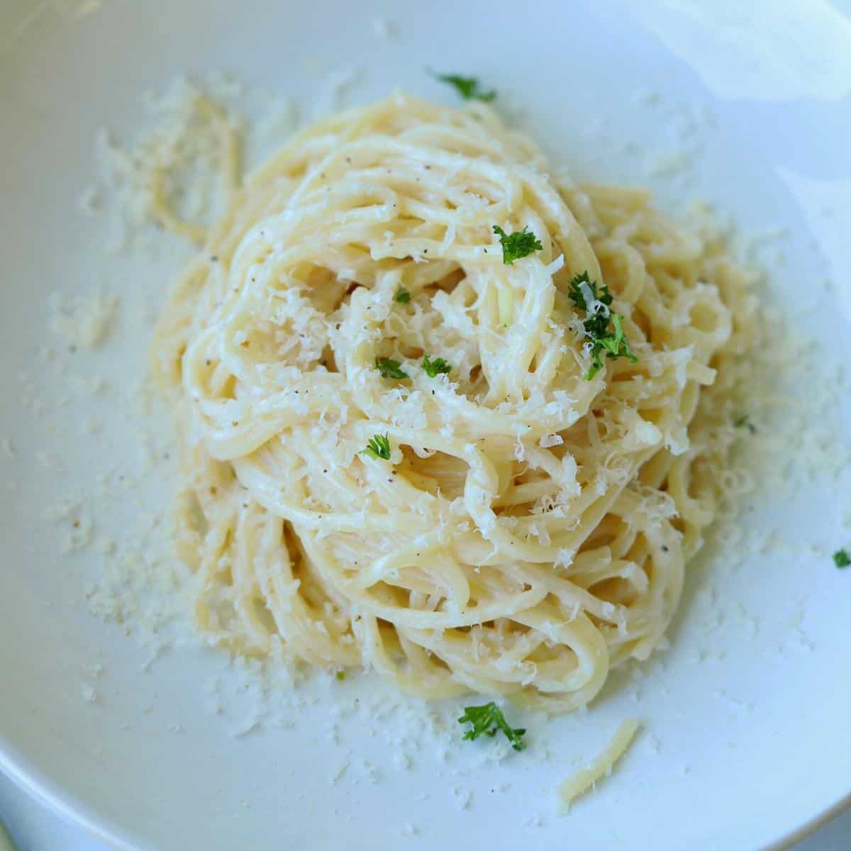 spaghetti alfredo in white bowl topped with parmesan cheese and parsley