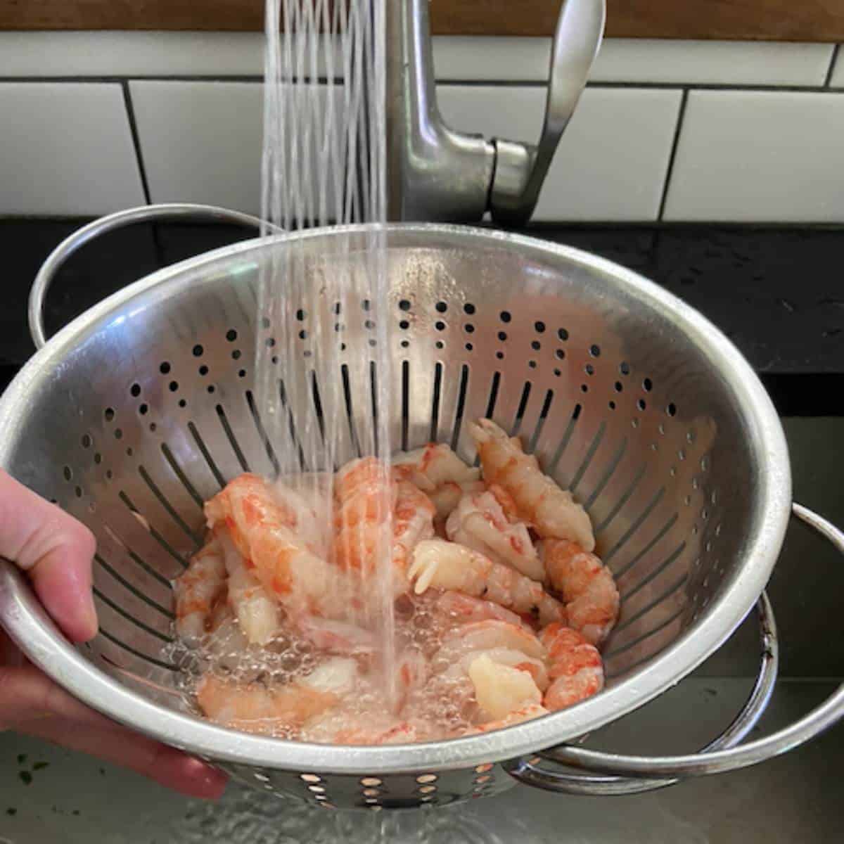 Rinsing shrimp in colander.