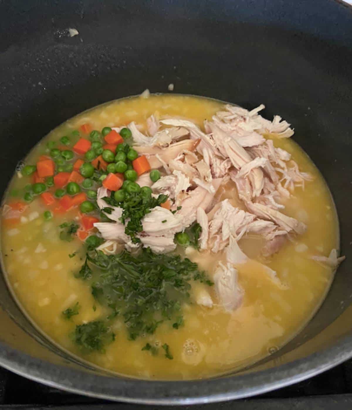Chicken,vegetables and parsley in dutch oven with chicken stock.