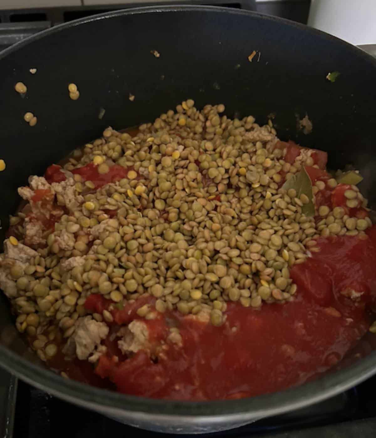 Lentils and tomato sauce in dutch oven.