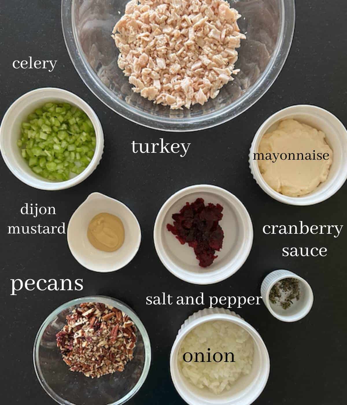 Ingredients for Turkey cranberry salad.