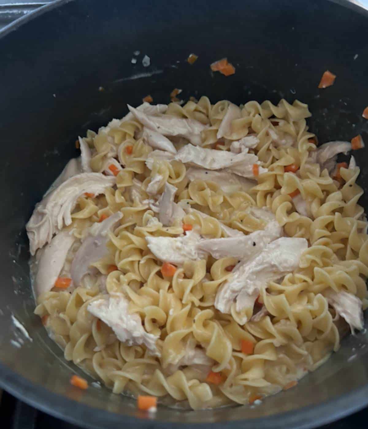 Chicken and noodles in pot.