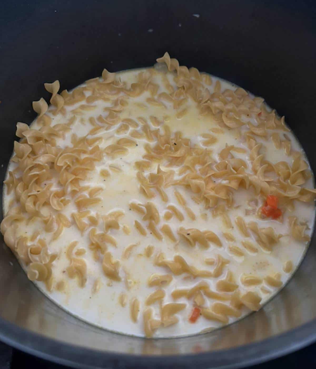 Cream and chicken stock with noodles in pot.