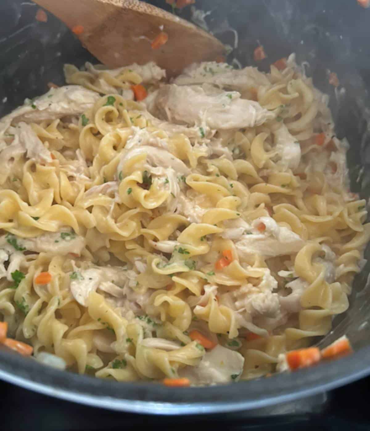 Chicken and egg noodles cooking in dutch oven.