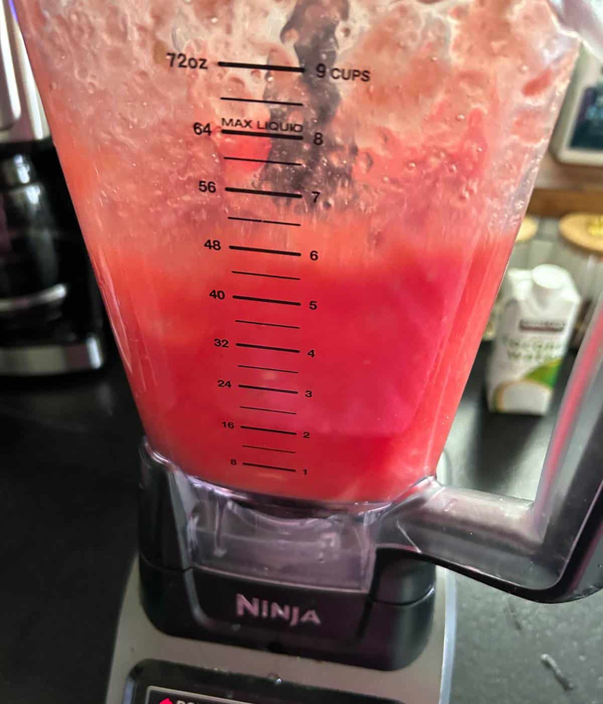 Watermelon in blender.