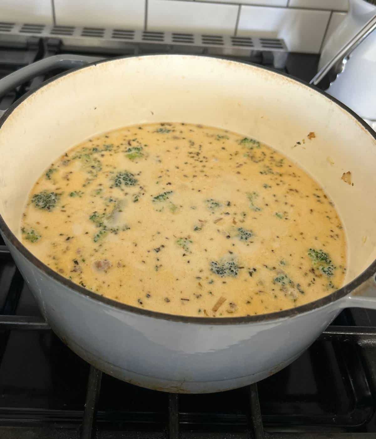 Broccoli and creamy alfredo soup broth in pot.