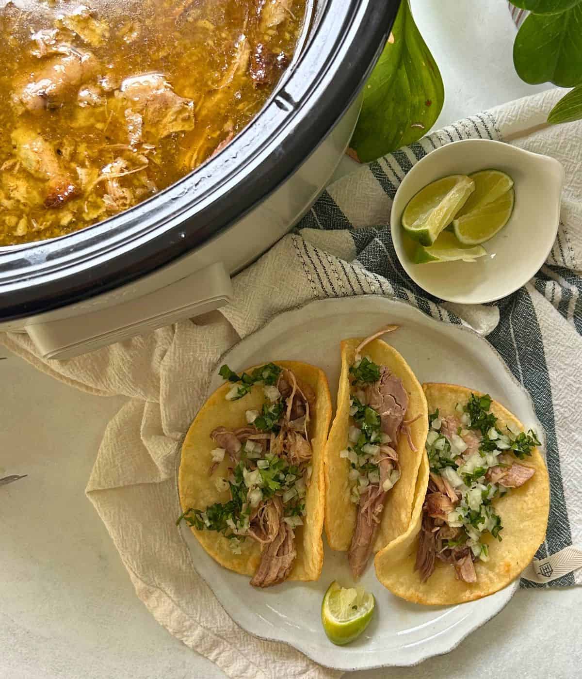 Pork carnitas and tacos with onion and cilantro on plate.