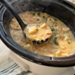 Chicken and dumplings in the slow cooker.