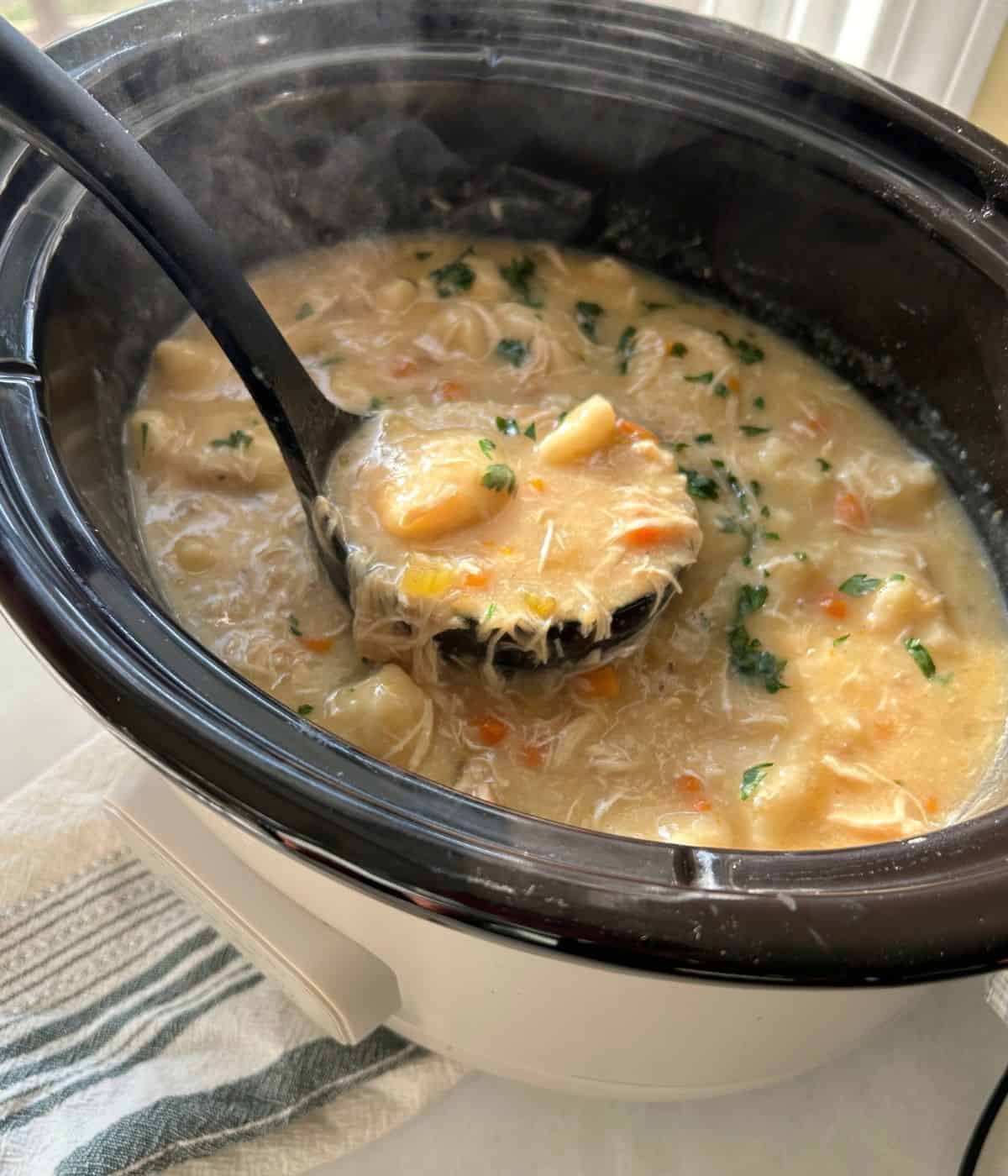 Chicken and dumplings in the slow cooker.